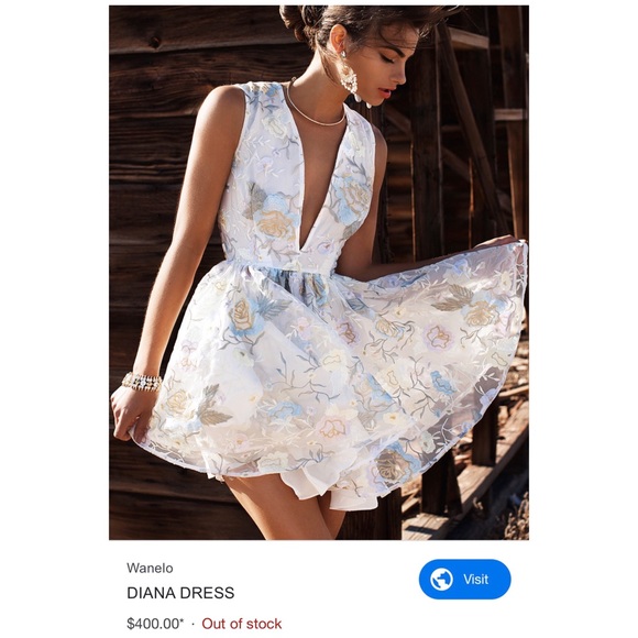 Lurelly Embroidered 3D Floral Mini Diana Dress - Picture 8 of 8